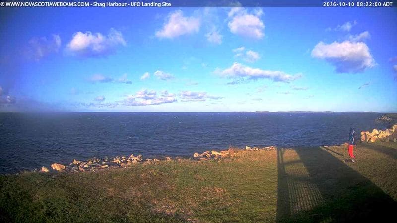 Shag Harbour