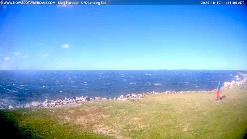Shag Harbour