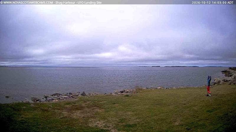 Shag Harbour