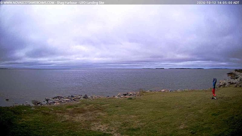 Shag Harbour
