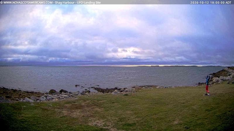 Shag Harbour