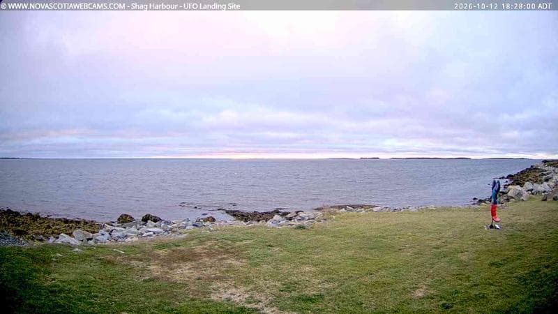 Shag Harbour