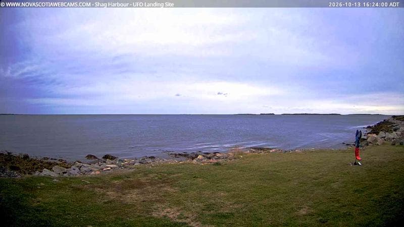 Shag Harbour