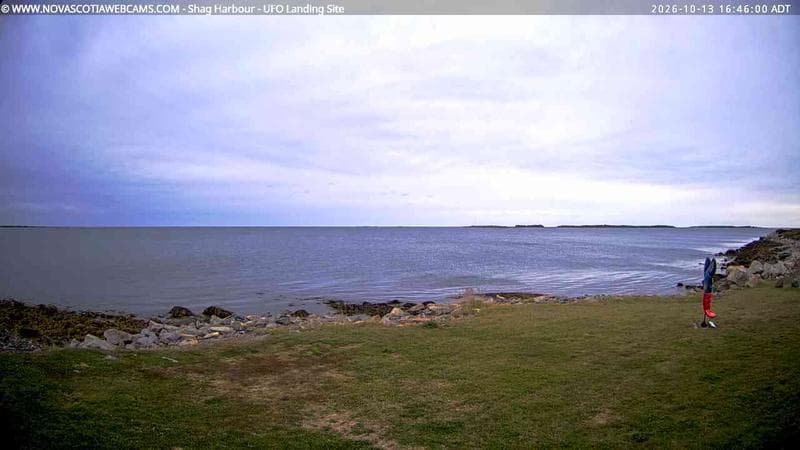 Shag Harbour