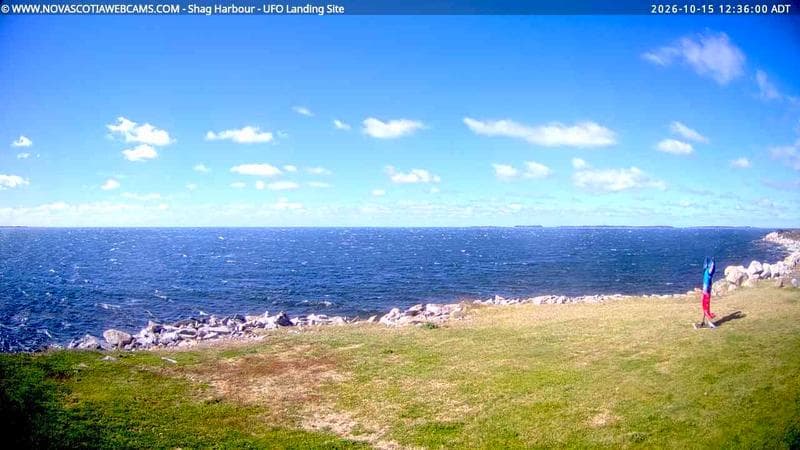 Shag Harbour