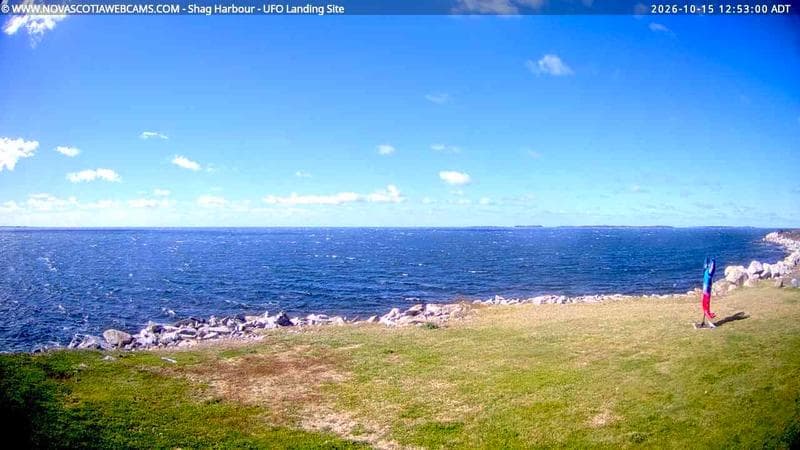 Shag Harbour