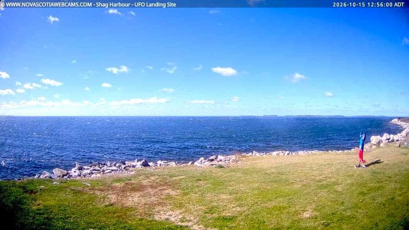 Shag Harbour
