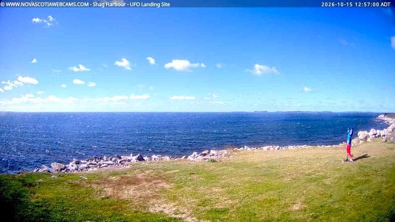 Shag Harbour
