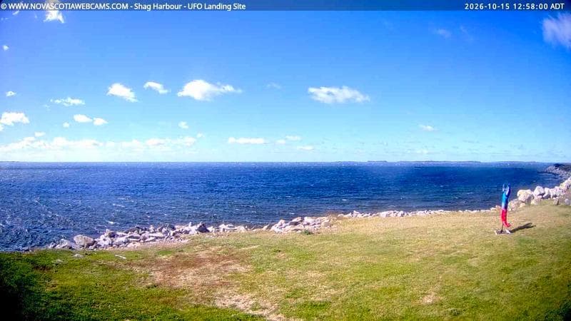 Shag Harbour
