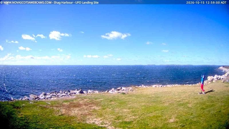 Shag Harbour