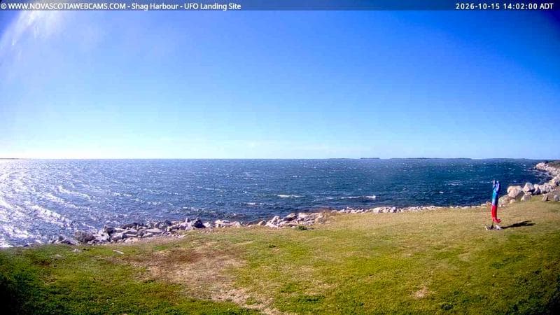 Shag Harbour