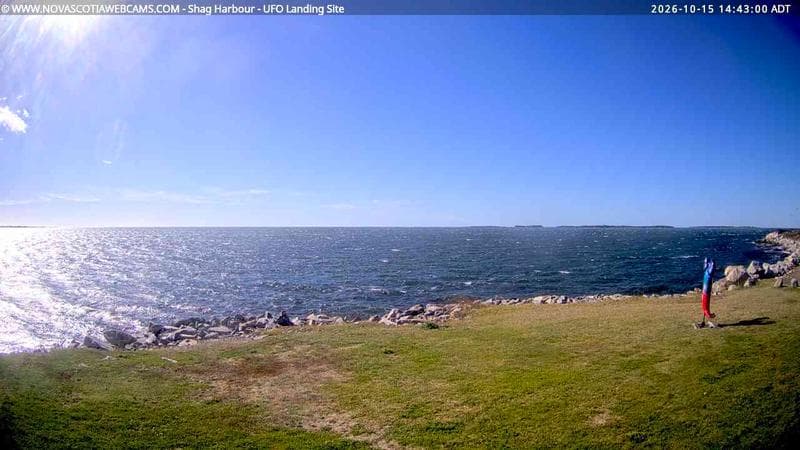 Shag Harbour