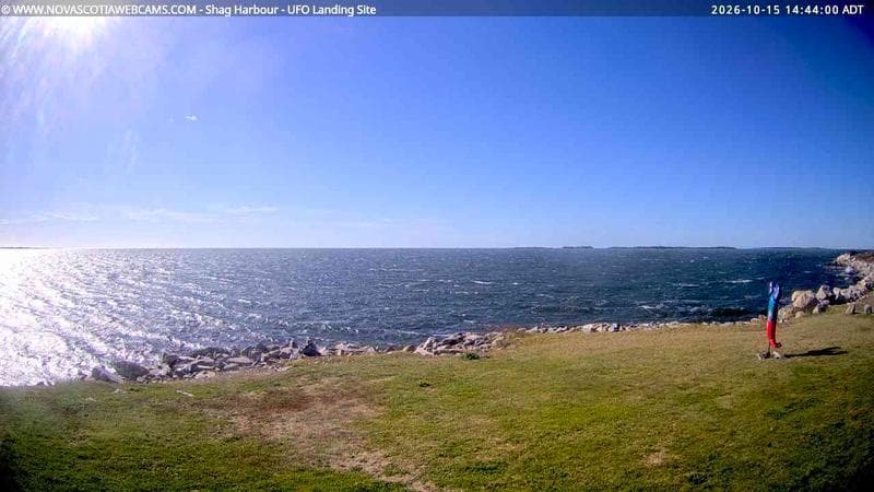 Shag Harbour