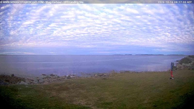 Shag Harbour