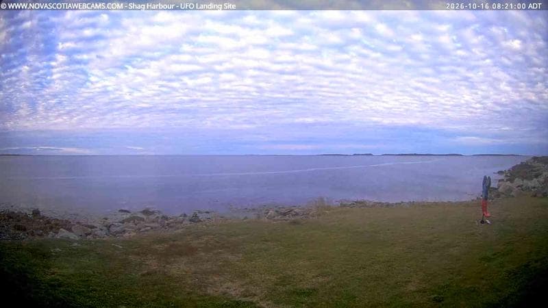 Shag Harbour