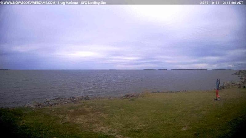 Shag Harbour