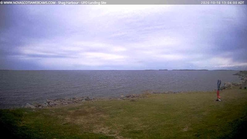 Shag Harbour