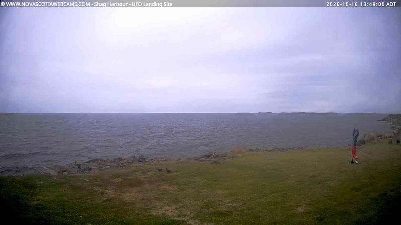 Shag Harbour