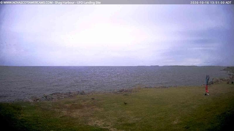 Shag Harbour