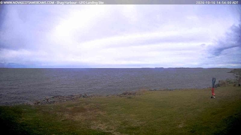 Shag Harbour