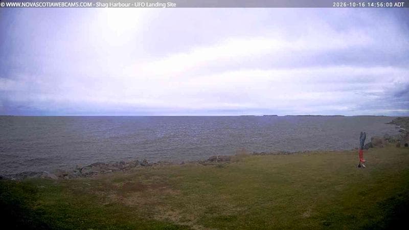 Shag Harbour