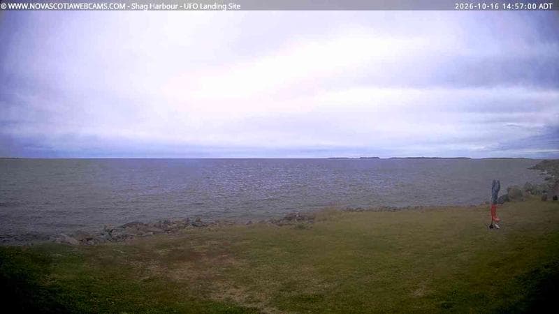 Shag Harbour