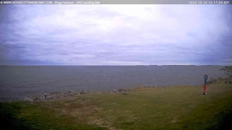 Shag Harbour
