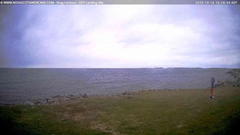 Shag Harbour