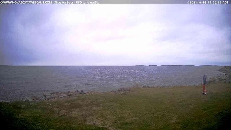 Shag Harbour