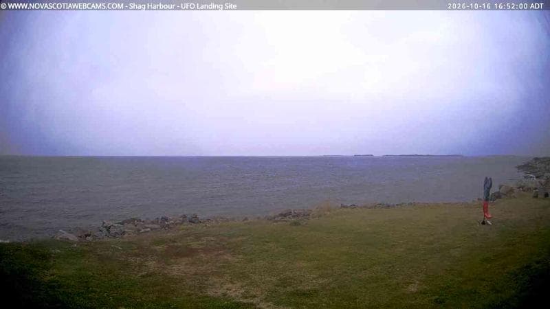 Shag Harbour