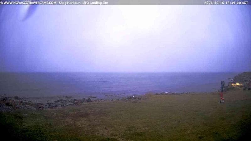 Shag Harbour