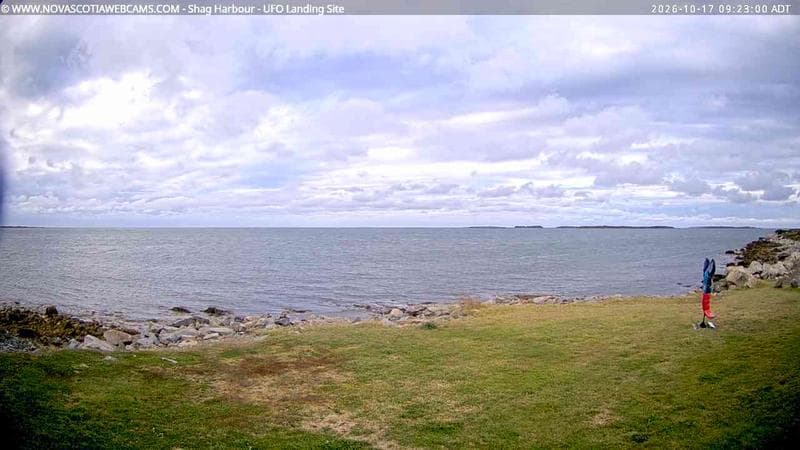 Shag Harbour
