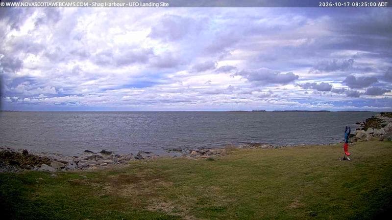Shag Harbour