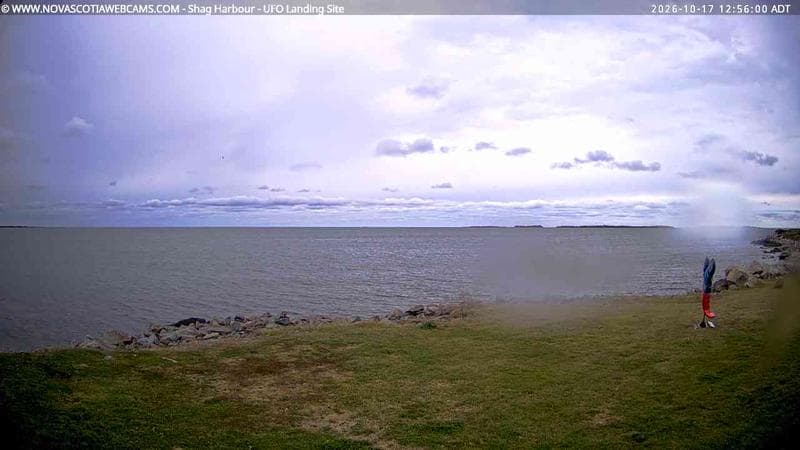 Shag Harbour
