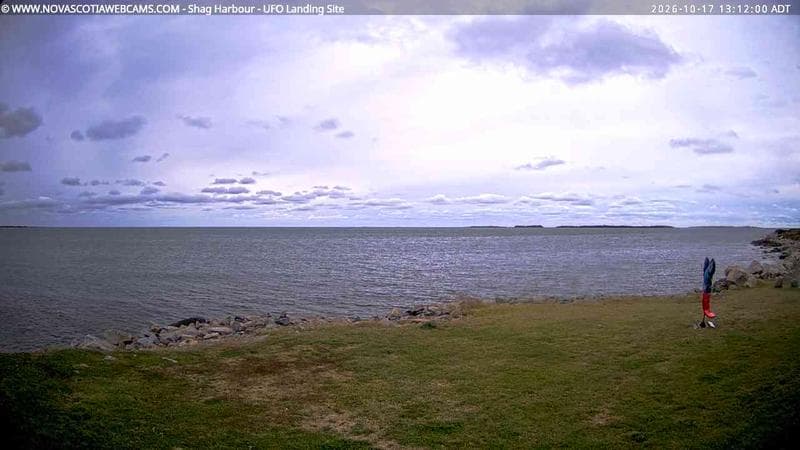 Shag Harbour