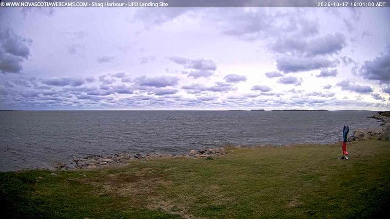 Shag Harbour