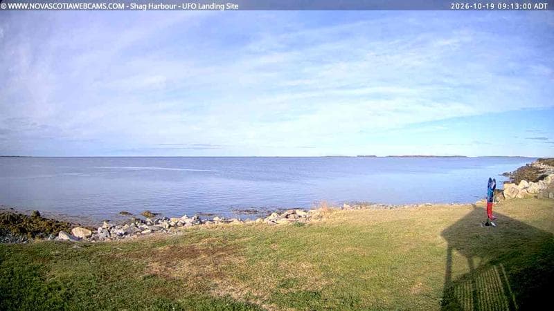 Shag Harbour