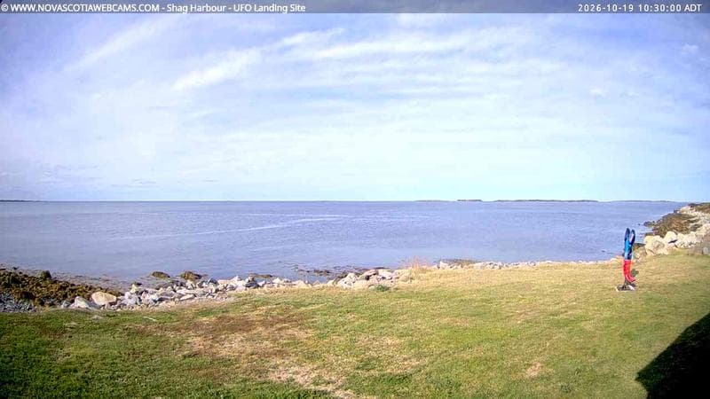 Shag Harbour