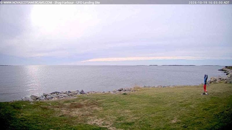 Shag Harbour