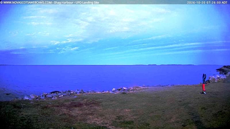 Shag Harbour