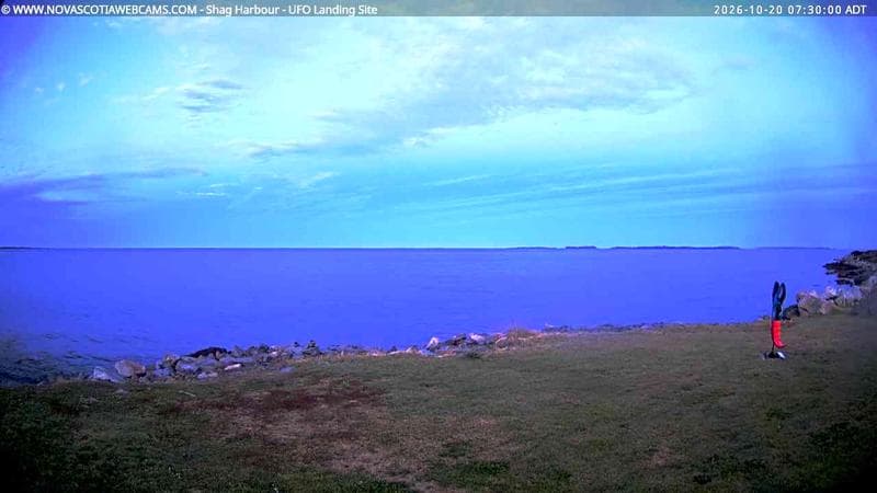 Shag Harbour