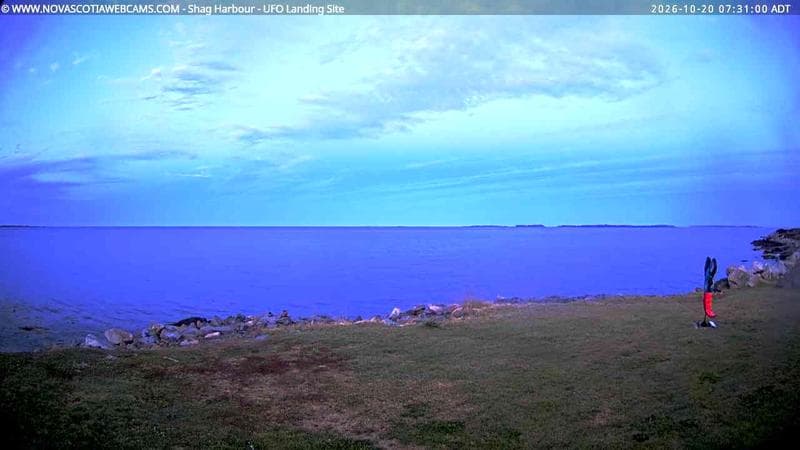 Shag Harbour
