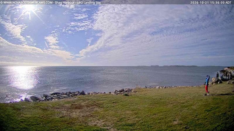 Shag Harbour