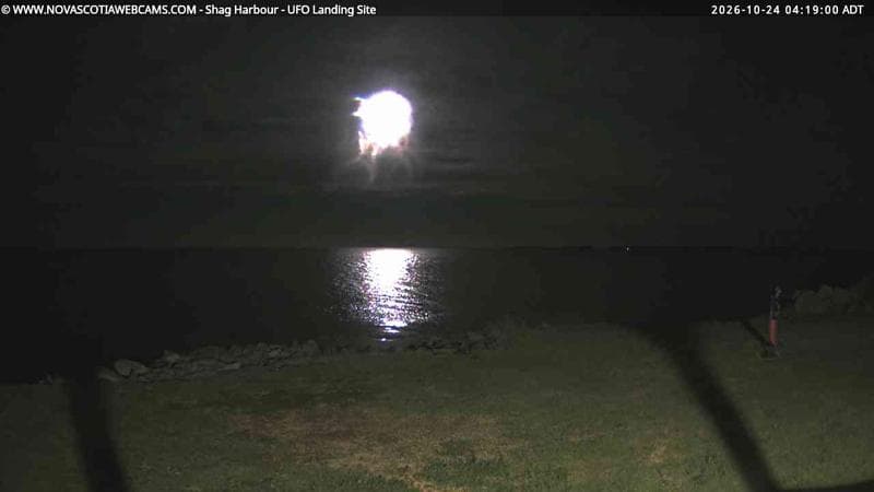 Shag Harbour