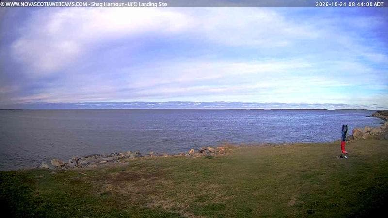 Shag Harbour