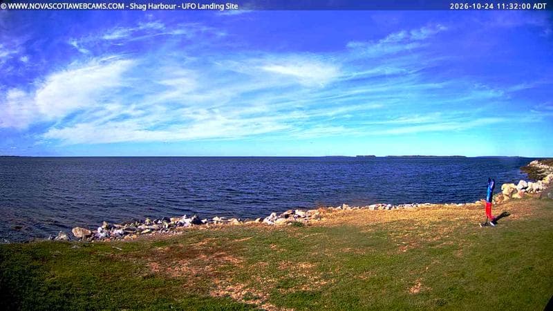 Shag Harbour