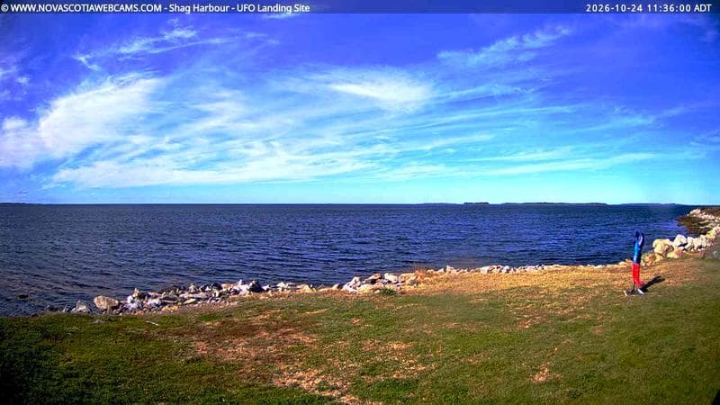 Shag Harbour