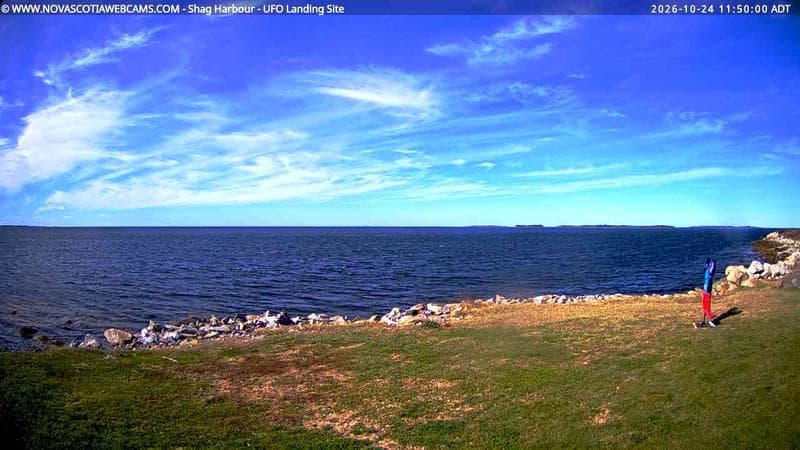 Shag Harbour