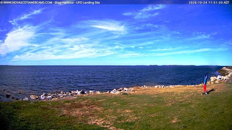 Shag Harbour
