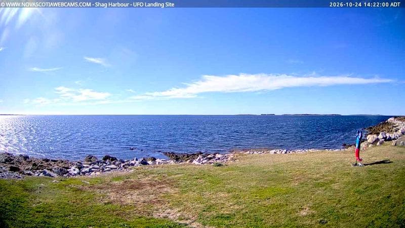 Shag Harbour